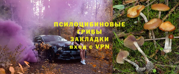 дживик Заволжье