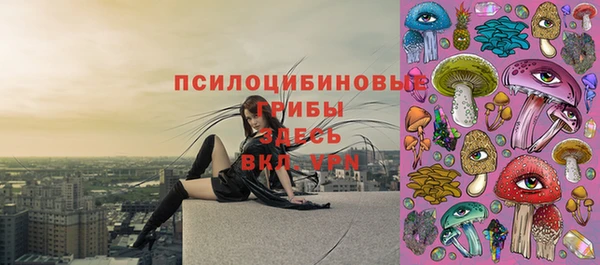jwh Ельня