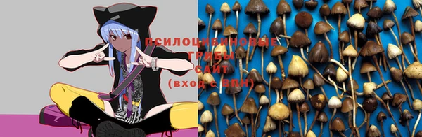 героин Елизово