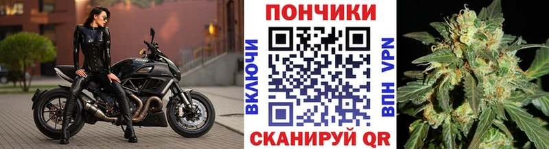 Конопля гибрид  Купить закладки  Закаменск 